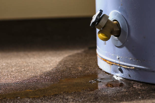 Best Water damage cleanup near me  in Stratford Downtown, CT