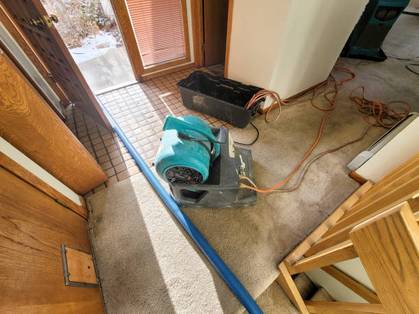 Best 24/7 water damage repair  in Stratford Downtown, CT