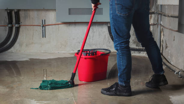 Best Ceiling water damage repair  in Stratford Downtown, CT